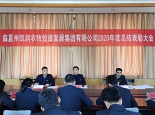 回首凝心聚力 展望未来可期 ——PA视讯召开2020年度总结表彰大会