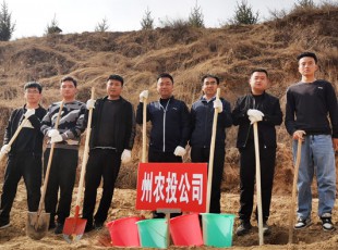 PA视讯参加2021年春季义务植树活动