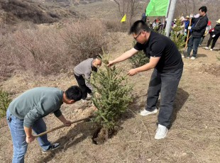 PA视讯参加2025年春季义务植树活动